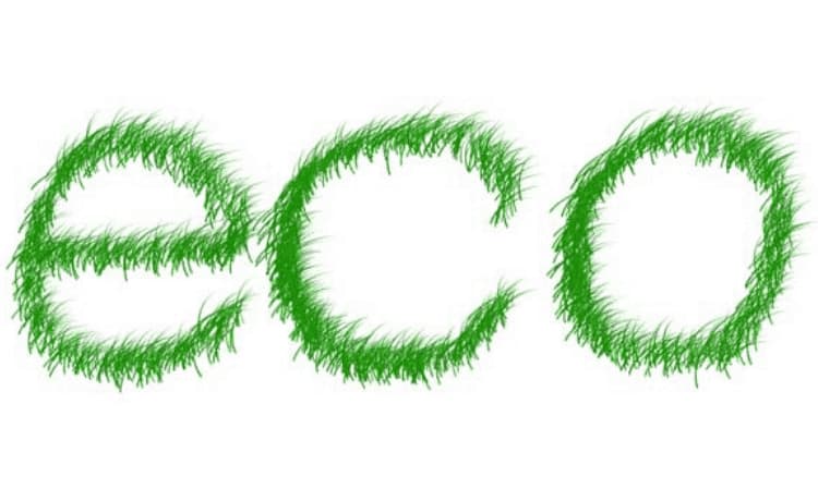 Al momento stai visualizzando Disinfestazione Ecologica Roma