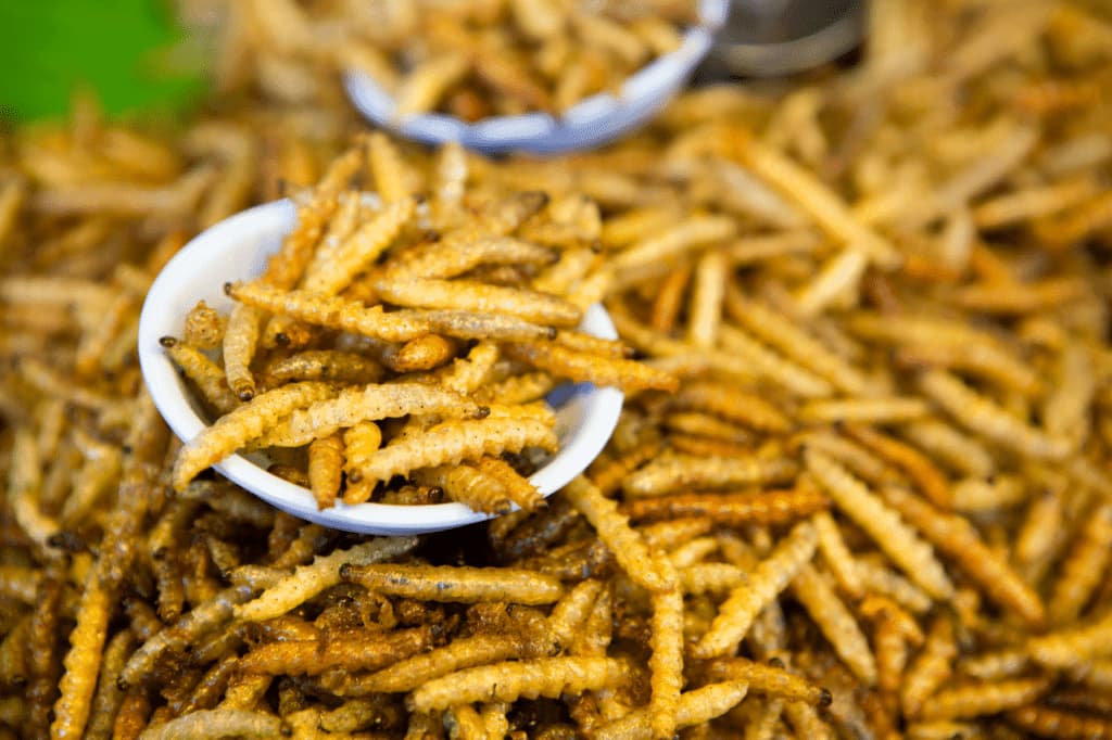 acaridi degli alimenti