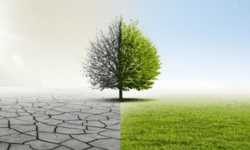 Stazione Ecologica o Ditta di Smaltimento Privata?