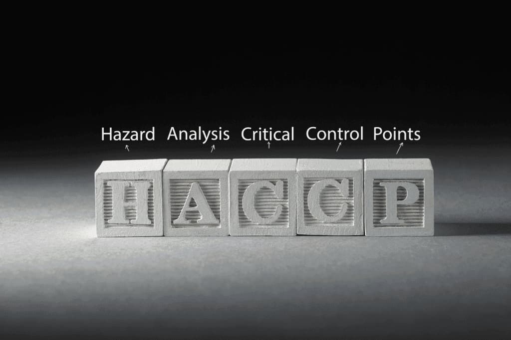 corso haccp online