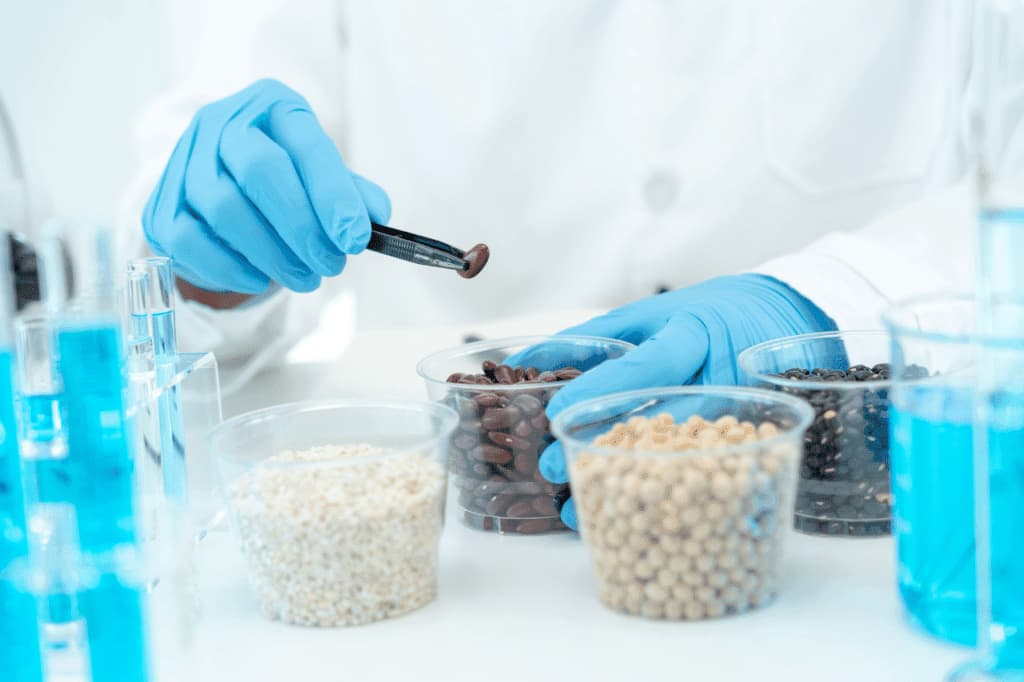 corso per haccp