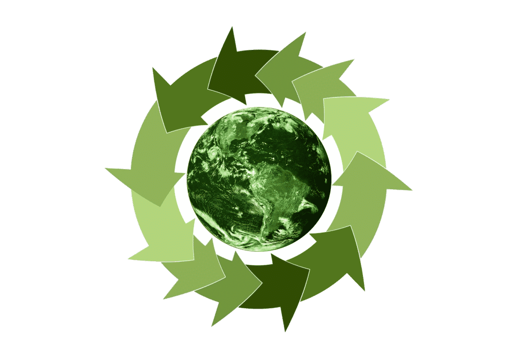 ecologia
