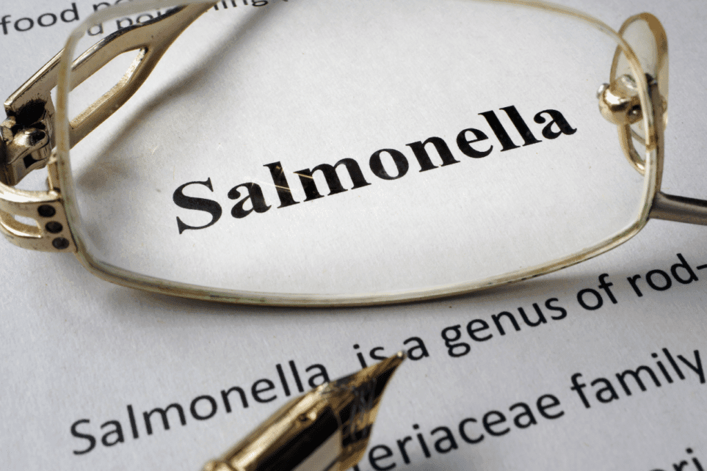 salmonella piccioni