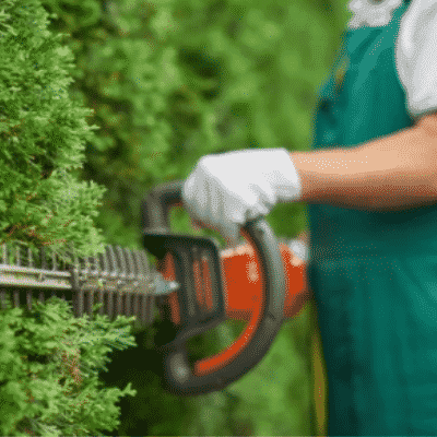servizi di giardinaggio